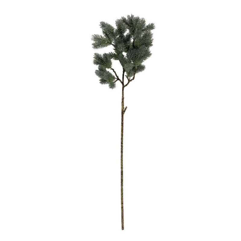 Ramo pino verde ghiacciato