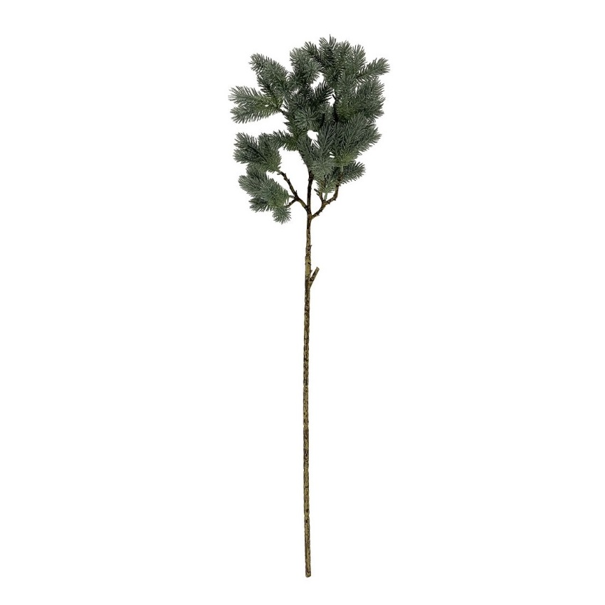 Ramo pino verde ghiacciato