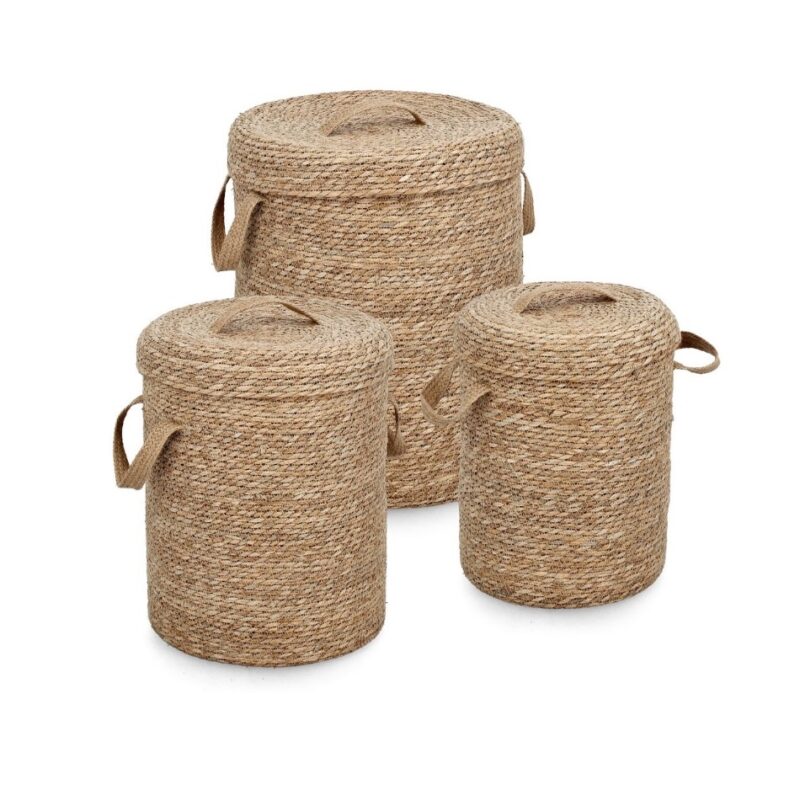 Cesta palustre contenitore con coperchio